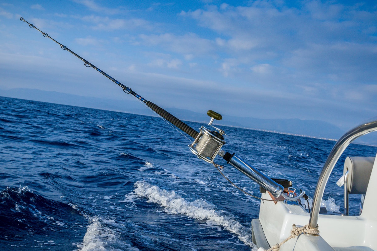 Heavy-Duty Base 360-Degree Adjustable Rod Holder